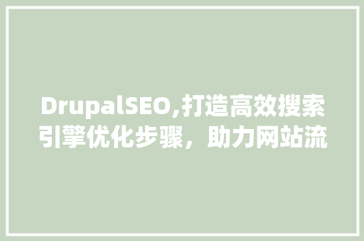 DrupalSEO,打造高效搜索引擎优化步骤，助力网站流量提升