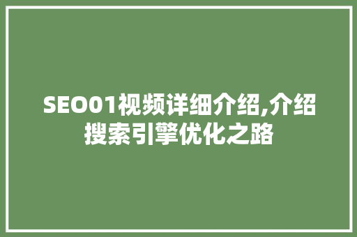 SEO01视频详细介绍,介绍搜索引擎优化之路