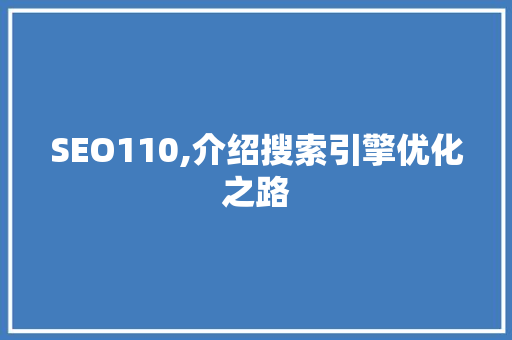 SEO110,介绍搜索引擎优化之路