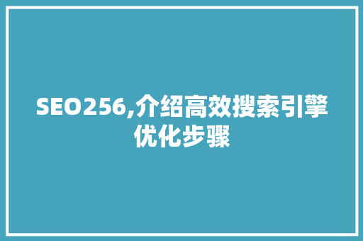 SEO256,介绍高效搜索引擎优化步骤