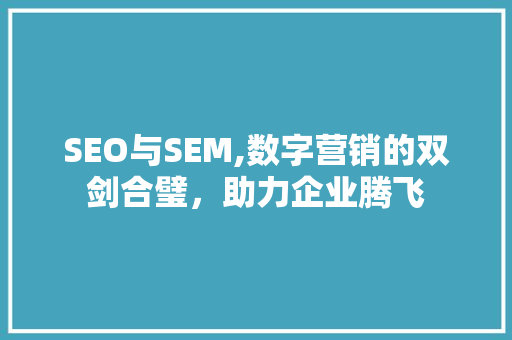 SEO与SEM,数字营销的双剑合璧，助力企业腾飞