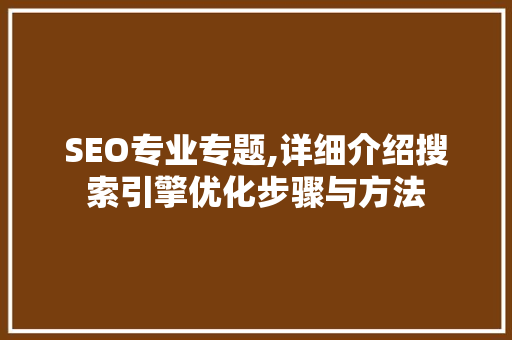 SEO专业专题,详细介绍搜索引擎优化步骤与方法