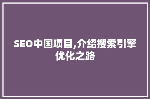 SEO中国项目,介绍搜索引擎优化之路