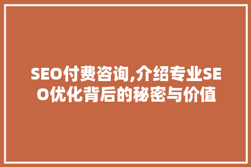 SEO付费咨询,介绍专业SEO优化背后的秘密与价值