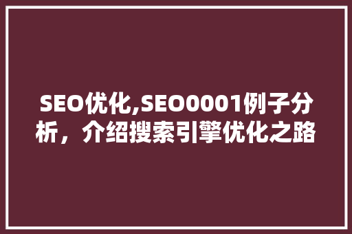 SEO优化,SEO0001例子分析，介绍搜索引擎优化之路