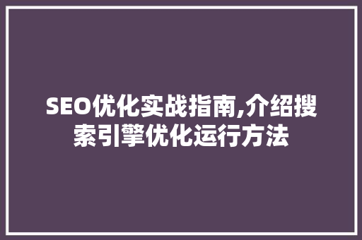 SEO优化实战指南,介绍搜索引擎优化运行方法