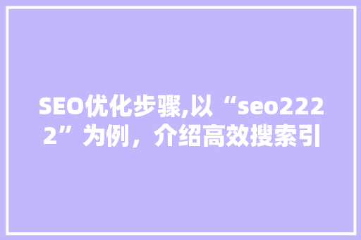 SEO优化步骤,以“seo2222”为例，介绍高效搜索引擎排名之路  第1张