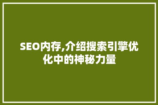 SEO内存,介绍搜索引擎优化中的神秘力量