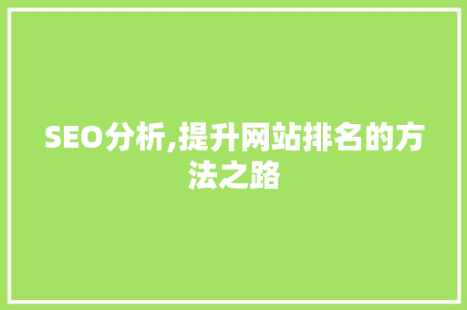 SEO分析,提升网站排名的方法之路