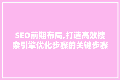 SEO前期布局,打造高效搜索引擎优化步骤的关键步骤