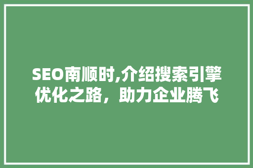 SEO南顺时,介绍搜索引擎优化之路，助力企业腾飞