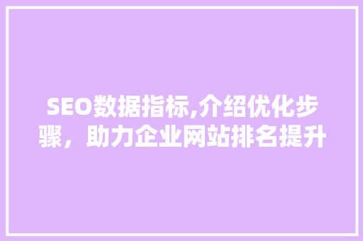 SEO数据指标,介绍优化步骤，助力企业网站排名提升
