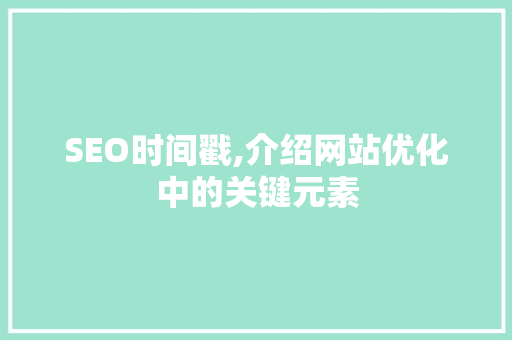 SEO时间戳,介绍网站优化中的关键元素