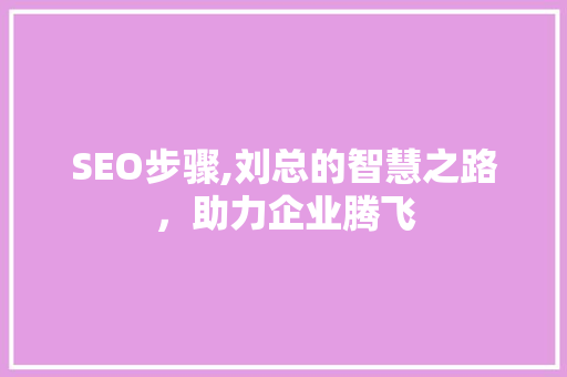 SEO步骤,刘总的智慧之路，助力企业腾飞