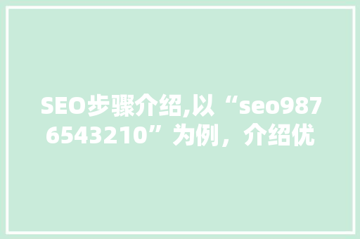 SEO步骤介绍,以“seo9876543210”为例，介绍优化之路