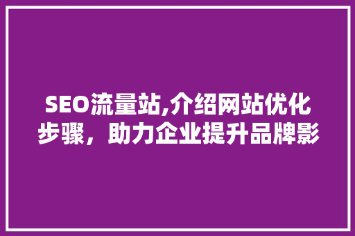 SEO流量站,介绍网站优化步骤，助力企业提升品牌影响力