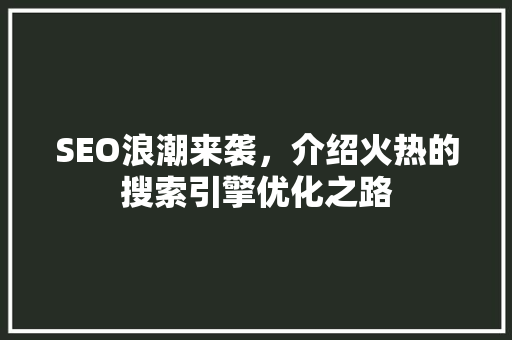 SEO浪潮来袭，介绍火热的搜索引擎优化之路