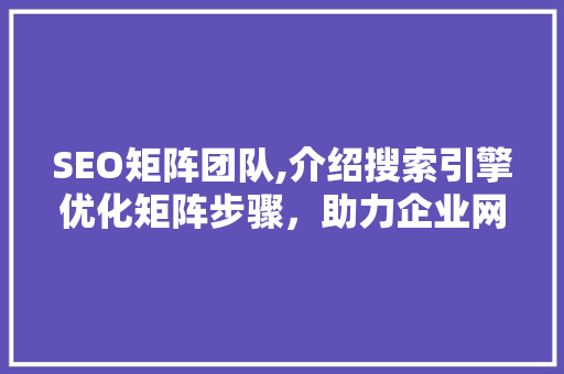 SEO矩阵团队,介绍搜索引擎优化矩阵步骤，助力企业网络营销腾飞
