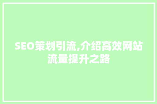 SEO策划引流,介绍高效网站流量提升之路