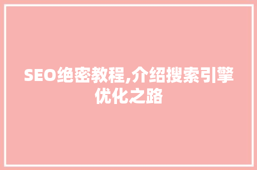SEO绝密教程,介绍搜索引擎优化之路