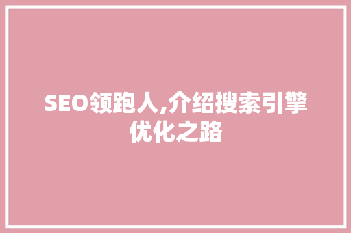 SEO领跑人,介绍搜索引擎优化之路