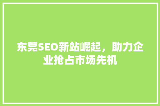 东莞SEO新站崛起，助力企业抢占市场先机