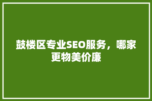 鼓楼区专业SEO服务，哪家更物美价廉