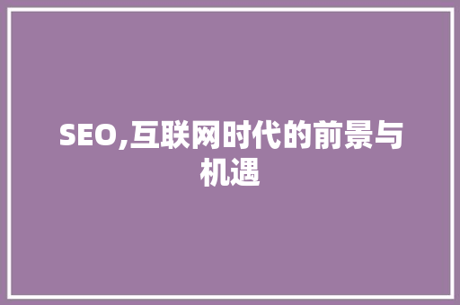 SEO,互联网时代的前景与机遇