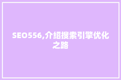 SEO556,介绍搜索引擎优化之路