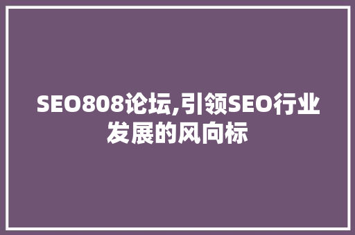SEO808论坛,引领SEO行业发展的风向标