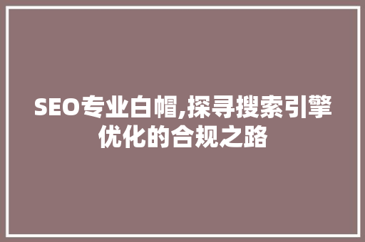 SEO专业白帽,探寻搜索引擎优化的合规之路