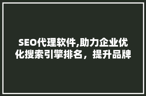 SEO代理软件,助力企业优化搜索引擎排名，提升品牌影响力