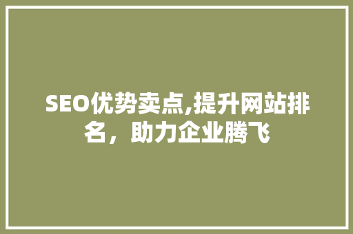 SEO优势卖点,提升网站排名，助力企业腾飞  第1张