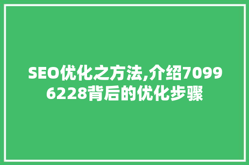 SEO优化之方法,介绍70996228背后的优化步骤