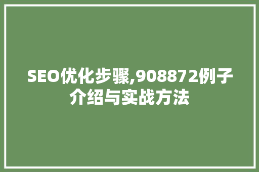 SEO优化步骤,908872例子介绍与实战方法