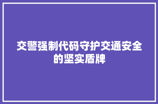 交警强制代码守护交通安全的坚实盾牌