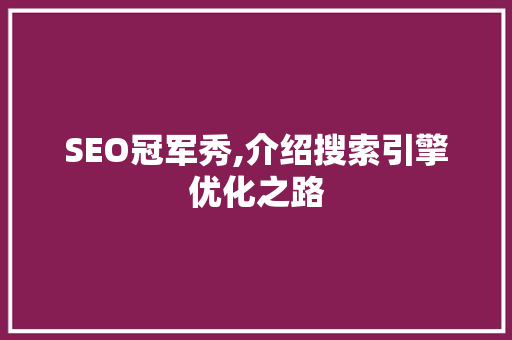 SEO冠军秀,介绍搜索引擎优化之路