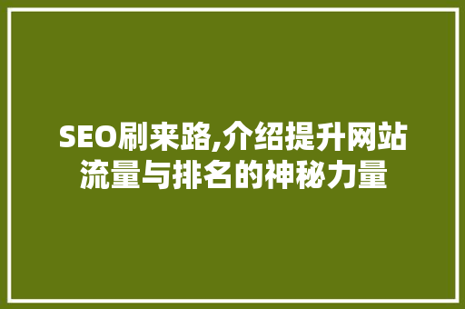 SEO刷来路,介绍提升网站流量与排名的神秘力量