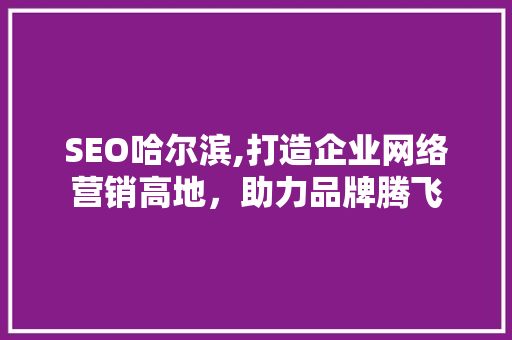 SEO哈尔滨,打造企业网络营销高地，助力品牌腾飞