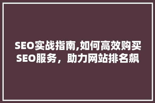 SEO实战指南,如何高效购买SEO服务，助力网站排名飙升