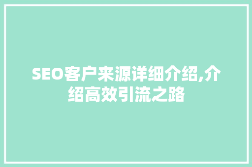 SEO客户来源详细介绍,介绍高效引流之路