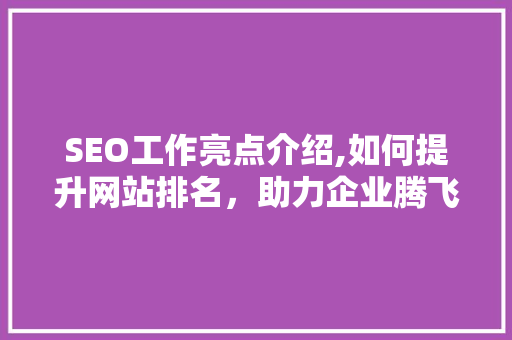 SEO工作亮点介绍,如何提升网站排名，助力企业腾飞