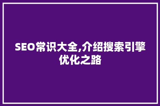 SEO常识大全,介绍搜索引擎优化之路