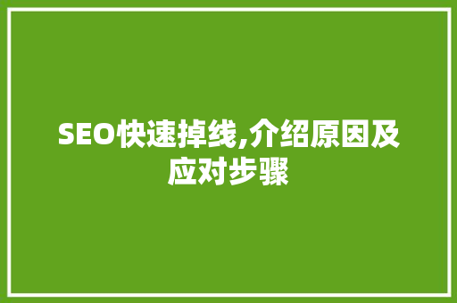 SEO快速掉线,介绍原因及应对步骤