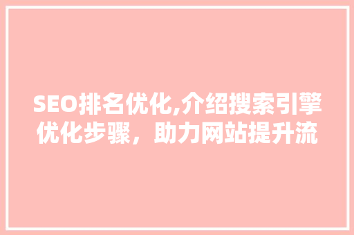 SEO排名优化,介绍搜索引擎优化步骤，助力网站提升流量与转化率