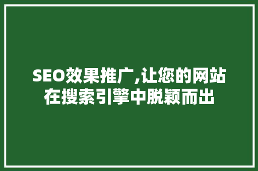 SEO效果推广,让您的网站在搜索引擎中脱颖而出