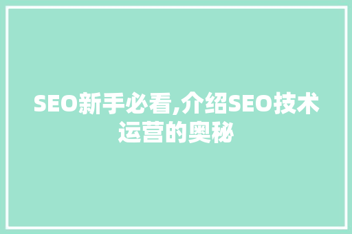 SEO新手必看,介绍SEO技术运营的奥秘