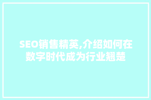 SEO销售精英,介绍如何在数字时代成为行业翘楚