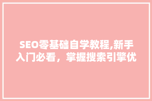 SEO零基础自学教程,新手入门必看，掌握搜索引擎优化方法