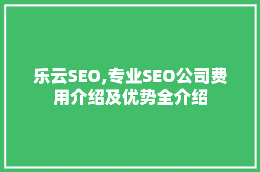 乐云SEO,专业SEO公司费用介绍及优势全介绍